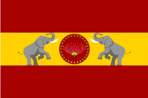 TVK flag